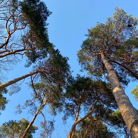 Haus Mit Garten Nyaraló Schorfheide