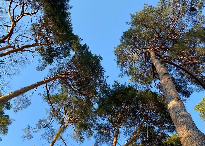 Haus Mit Garten Semesterbostad Schorfheide
